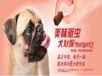 成都达界乾科技有限公司