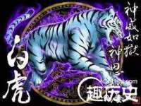 成都达界乾科技有限公司