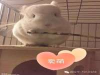 成都达界乾科技有限公司