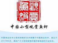 成都达界乾科技有限公司