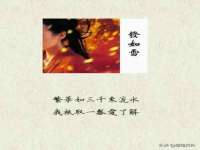 成都达界乾科技有限公司