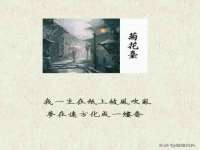 成都达界乾科技有限公司