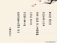成都达界乾科技有限公司