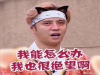 成都达界乾科技有限公司
