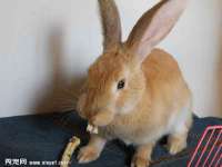 成都达界乾科技有限公司