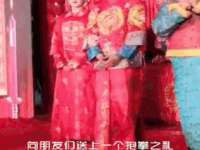 成都达界乾科技有限公司