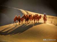 成都达界乾科技有限公司