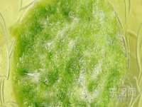 成都达界乾科技有限公司