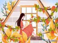 成都达界乾科技有限公司