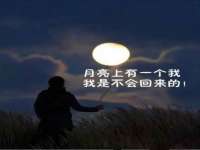 成都达界乾科技有限公司