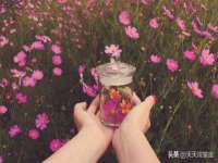 成都达界乾科技有限公司