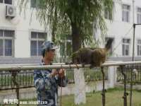 成都达界乾科技有限公司