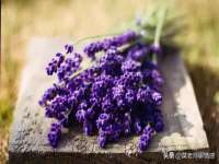 成都达界乾科技有限公司