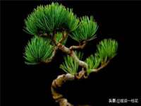 成都达界乾科技有限公司