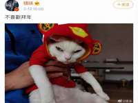 成都达界乾科技有限公司