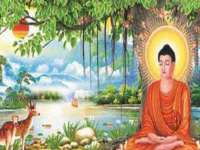 成都达界乾科技有限公司