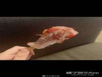 成都达界乾科技有限公司